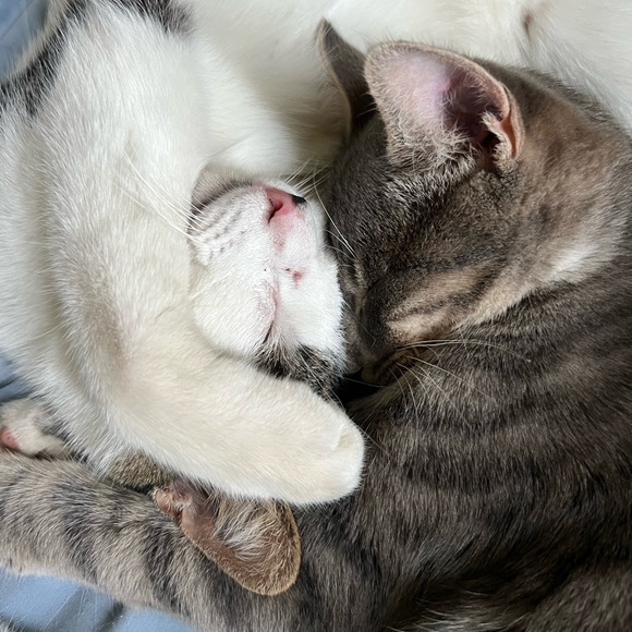 😍See something you must have? - Picture 10 of 16